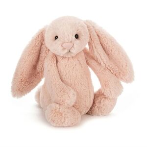 Retired Jellycat Bashful Bunny Chime